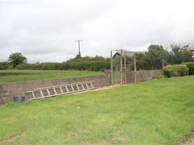 Picture 3